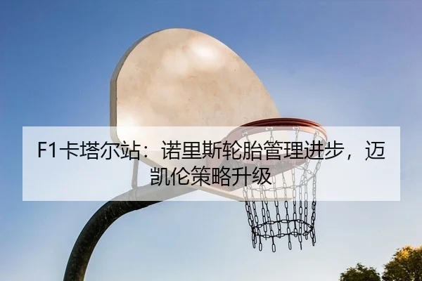 F1卡塔尔站：诺里斯轮胎管理进步，迈凯伦策略升级